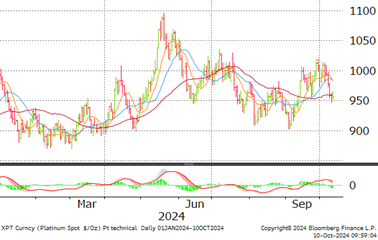 Palladium tech pattern one year